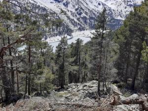 a view of a snow covered mountain in a forest at Saint Lary Ski, rando, thermes, balades et repos ! in Saint-Lary-Soulan