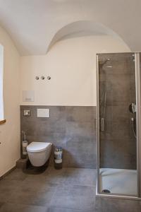 a bathroom with a toilet and a shower at Altstadthotel Brauereigasthof Winkler in Berching