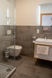 W łazience znajduje się toaleta, umywalka i prysznic. w obiekcie Altstadthotel Brauereigasthof Winkler w mieście Berching