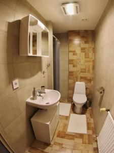 a bathroom with a sink and a toilet at Haus Kraus in Bayerisch Eisenstein