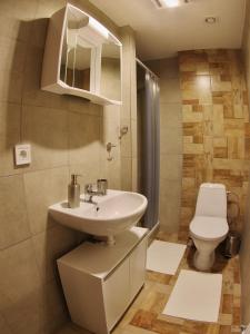a bathroom with a sink and a toilet at Haus Kraus in Bayerisch Eisenstein