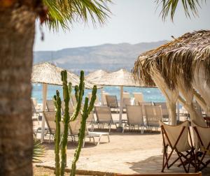 a group of chairs and a cactus on a beach at CHARM BEACH HOTEL in Akyarlar