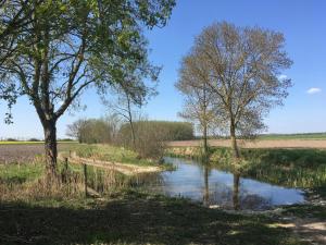 een rivier in het midden van een veld met bomen bij Chambre d'hôtes à la campagne in Coings