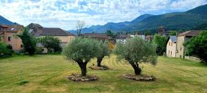 two trees in a field with a town in the background at Cimas con historia in Fiscal