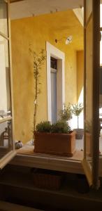 Zdjęcie z galerii obiektu Jolie maison de ville La Petite Magnanerie w mieście La Roque-dʼAnthéron