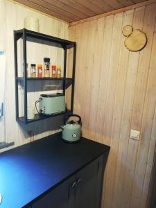 a kitchen counter with two pots on a shelf at Hasenstall in Rehburg-Loccum