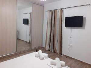 TV a/nebo společenská místnost v ubytování Christen house