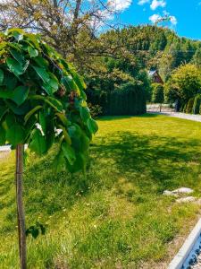 Paesaggio naturale nelle vicinanze dello chalet