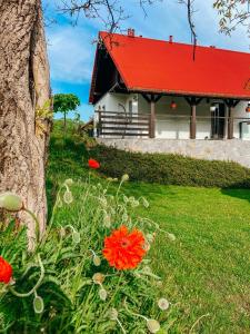 Giardino di MALINOWA OSADA