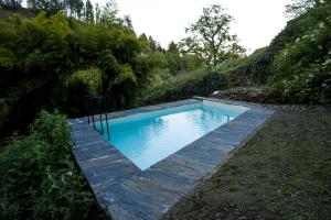 a swimming pool in the middle of a yard at Ribeira Delos in Santa Marta de Penaguião