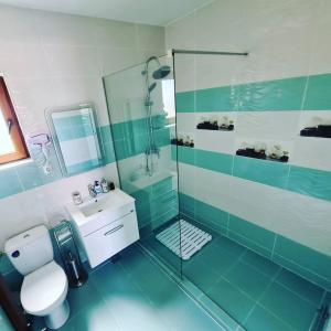a bathroom with a shower and a toilet and a sink at Casa Coco in 2 Mai