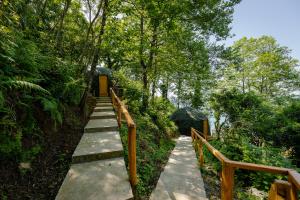 a stairway leading up to a building in a forest at Luxury Glamping near Batumi in Batumi