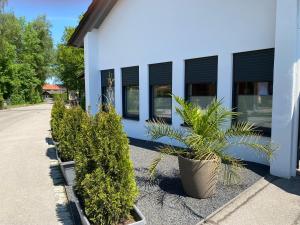 a row of potted plants in front of a building at Ferienhaus Strandbadallee in Waging am See