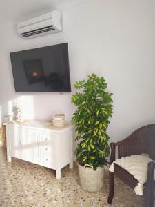 a living room with a white cabinet and a plant at Hotel Nou Can Guillem in Cala Figuera