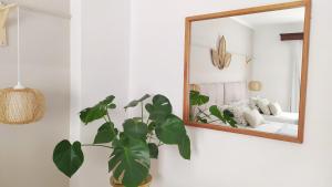 a plant in a vase in front of a mirror at Hotel Nou Can Guillem in Cala Figuera