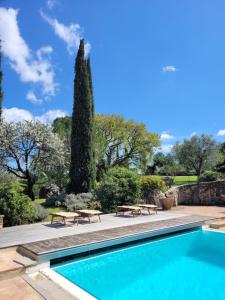 a swimming pool with two benches and a tree at Podere Prataccio in Grosseto