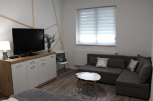 TV a/nebo společenská místnost v ubytování FlóDá Ház