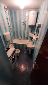 a bathroom with a sink and a toilet and a shower at Apartman Sofija in Plužine
