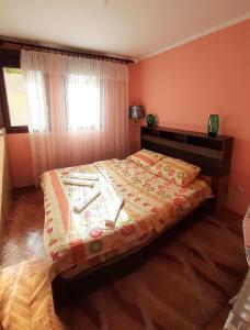 a bedroom with a large bed in a room at Apartman Sofija in Plužine