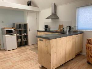 una cucina con armadi in legno e piano di lavoro di The Bee - Trekkershuts & Apartment a Opperdoes