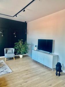 Televízia a/alebo spoločenská miestnosť v ubytovaní Jan III Sobieski - Luksusowy apartament L z darmowym prywatnym parkingiem