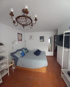 Een bed of bedden in een kamer bij Casa Pescado y mariposas