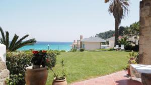 Táj Show holiday homes közelében