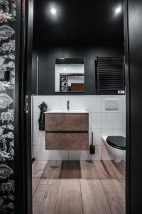 a bathroom with a sink and a toilet at Cosy Aquarium for a couple or friends in Groningen