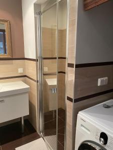 a bathroom with a shower and a washing machine at Golden Sun Apartments in Mielno