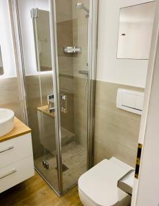 La salle de bains est pourvue d'une douche en verre et de toilettes. dans l'établissement The Lodge Braunlage, à Braunlage