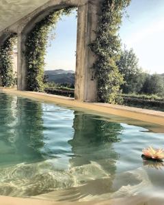 Montecalvo VersiggiaにあるIl Sassoscritto Bed and Breakfastの建物内のアーチ型の水のプール