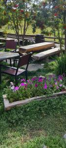 Zahrada ubytování Guest House Shina