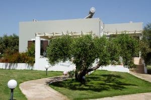 Zahrada ubytování Villa Dimitris
