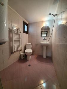 a bathroom with a toilet and a sink at Къща за гости Роден край 2 in Elena