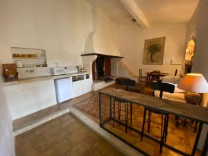 cocina con sala de estar con chimenea en Villa Verde - Gîte - possibilité table d'hôte, en Boisseron