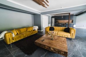 Χώρος καθιστικού στο Voronet Noir Chalet +26 φωτογραφίες