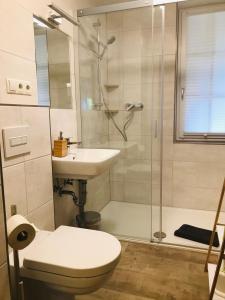 ein Bad mit einer Dusche, einem WC und einem Waschbecken in der Unterkunft Landkulturhof Glücksbringer in Rudolstadt