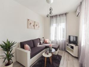 Televízia a/alebo spoločenská miestnosť v ubytovaní Crystal Apartment