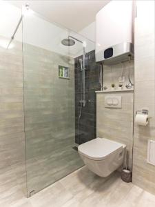 Kúpeľňa v ubytovaní Crystal Apartment