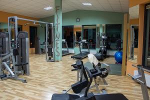 The fitness centre and/or fitness facilities at Motel Dani