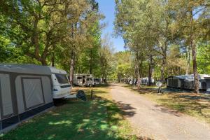 Fotografie z fotogalerie ubytování Camping Nature L'Airial v destinaci Soustons