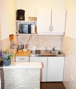Kuchyň nebo kuchyňský kout v ubytování ĆOSIĆ APARTMANI IGRANE