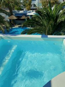 a blue swimming pool with a palm tree and umbrellas at Zephyros Hotel in Kamari