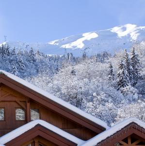 een met sneeuw bedekt dak van een huis met sneeuwbedekte bomen bij Hotel Le Tremplin in Méribel