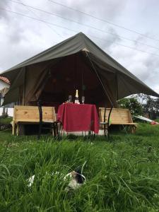 a tent with a table and benches in the grass at Yinkana Camping y Glamping in Guatavita