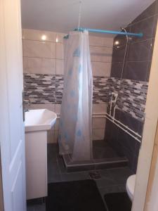 uma casa de banho com uma cortina de chuveiro e um lavatório em Vila Jotic, Zavojsko jezero em Pirot