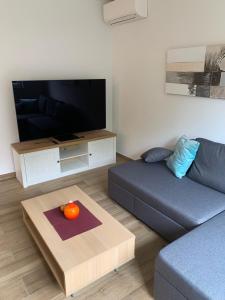 Televízia a/alebo spoločenská miestnosť v ubytovaní Apartman Nataša
