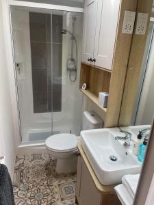 a bathroom with a shower and a toilet and a sink at Starling Six Berth caravan in Alford
