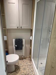 a bathroom with a toilet and a shower at Starling Six Berth caravan in Alford