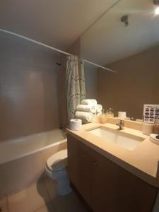 La salle de bains est pourvue d'un lavabo, de toilettes et d'un miroir. dans l'établissement NM ApartHotel Cochrane, à Concepción